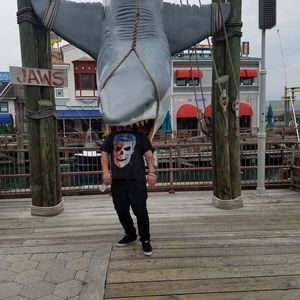 Meet your Posher, Shane